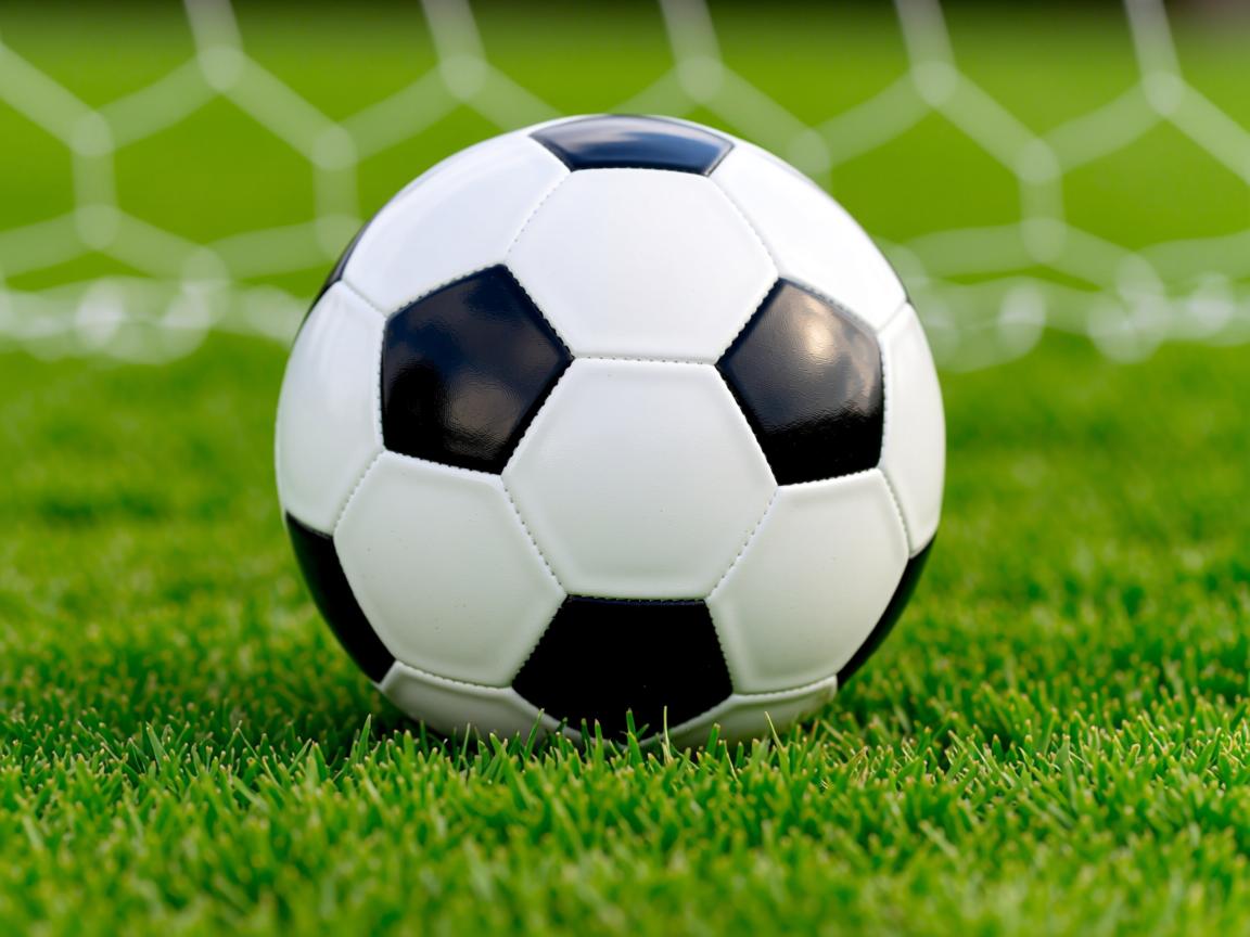 九游官网入口充值-体育新闻中心上线体育创作者内容质量审核平台，体育新闻的网站  第3张